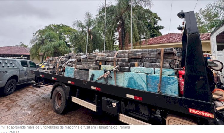 PM apreende mais de 5 toneladas de maconha e fuzil escondidos em carga de mandioca no Paraná