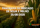 Panorama de Mercado de Soja e Milho 25/08/2025