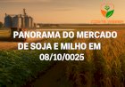 PANORAMA DO MERCADO DA SOJA E MILHO EM 08/10/2025