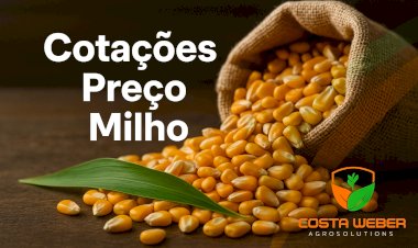 Cotação Preço de MILHO em 25.07.2025