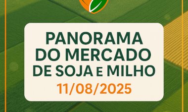 PANORAMA DO MERCADO DE SOJA E MILHO EM 11/08/2025