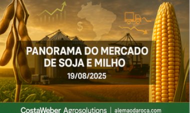 PANORAMA ESTRATÉGICO DO MERCADO DE SOJA E MILHO 19/08/2025