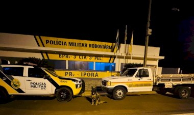 F-4000 furtada com placas de Santa Catarina é recuperada pela PRE na região