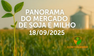 PANORAMA DO MERCADO DE SOJA E MILHO EM 18/09/2025