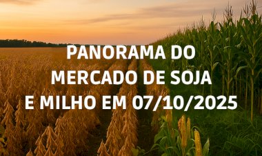 PANORAMA DO MERCADO DA SOJA E MILHO EM 07/10/2025