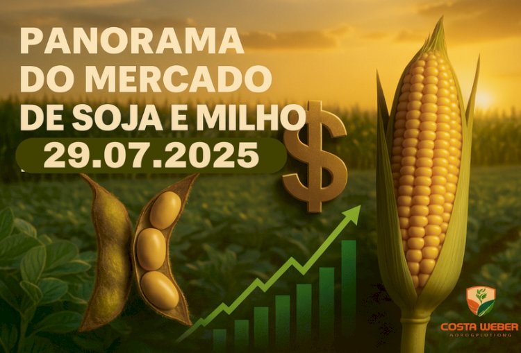 Panorama Estratégico do Mercado da Soja e do Milho – 29/07/2025