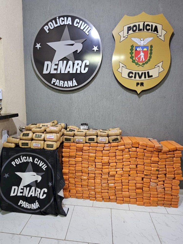 Denarc causou prejuízo de mais de R$ 90 milhões ao tráfico no primeiro semestre de 2025