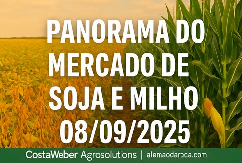 Panorama do Mercado de Soja e Milho 08/09/2025