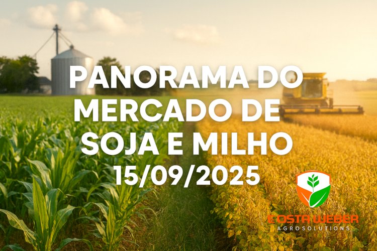 Panorama do Mercado de Soja e Milho  15/09/2025