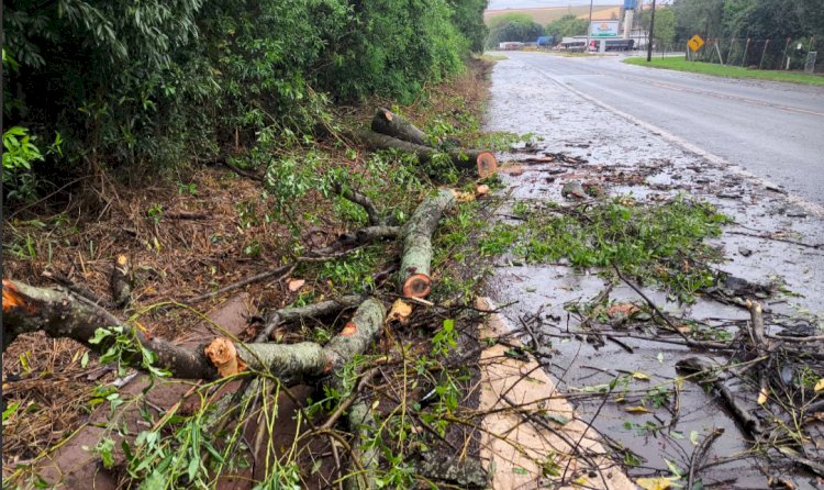 Chuvas intensas são registradas em várias regiões do Oeste do Paraná