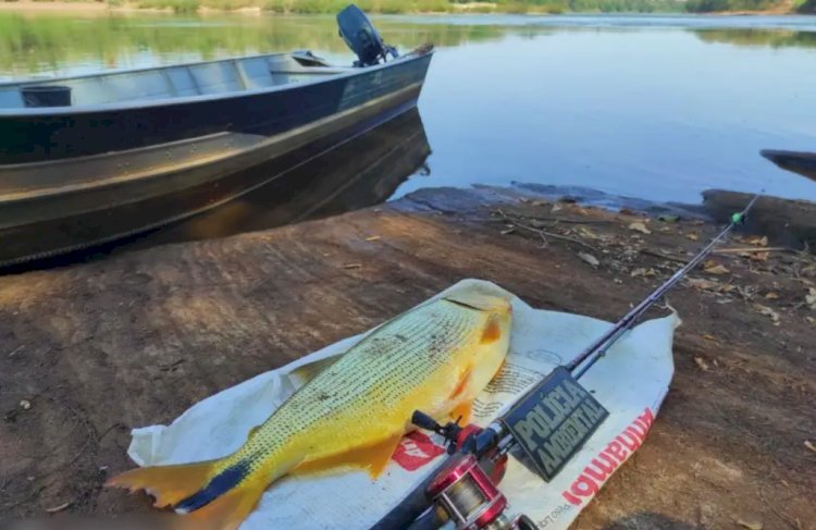 Pescador é preso com dourado e sem licença pesca