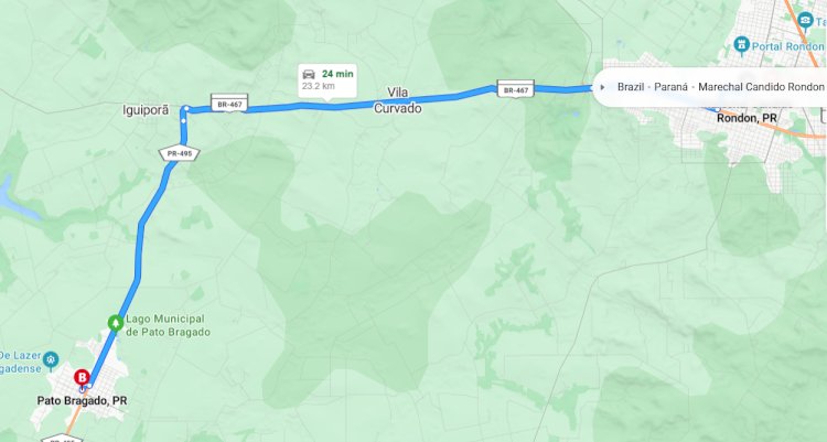 Usuários denunciam risco de queda de árvores na PR-495, entre Marechal Cândido Rondon e Pato Bragado