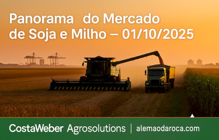 Panorama do Mercado de Soja e Milho em 01/10/2025