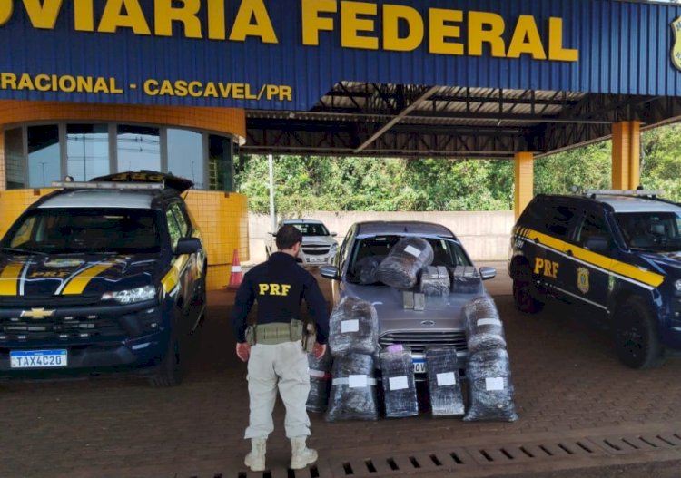 Domingo de apreensões: PRF intercepta mais de 178 kg de drogas na BR-277, em Cascavel