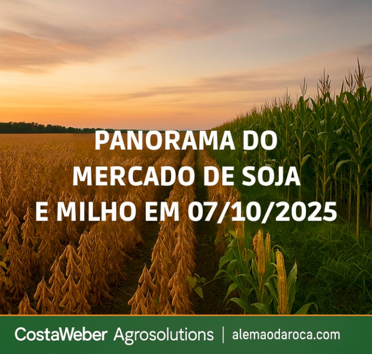 PANORAMA DO MERCADO DA SOJA E MILHO EM 07/10/2025