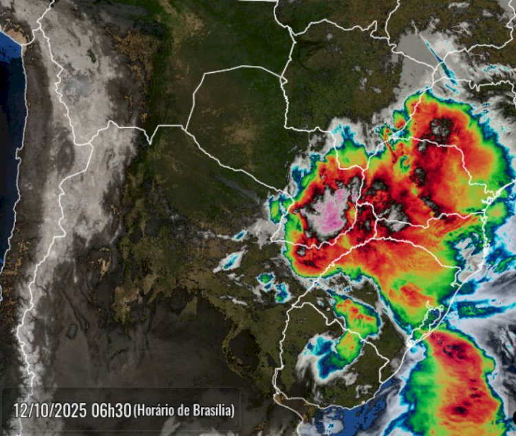 Temporal causa queda de árvore, interrupção de rodovia e falta de energia na região oeste