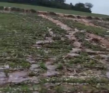 Chuva supera 100 mm em diversas regiões do Paraná, aponta Simepar