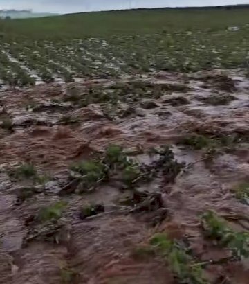 Chuva supera 100 mm em diversas regiões do Paraná, aponta Simepar