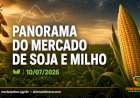 Soja e milho recuam em Chicago enquanto mercado físico mantém diferenças entre as regiões