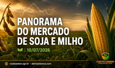 Soja e milho recuam em Chicago enquanto mercado físico mantém diferenças entre as regiões