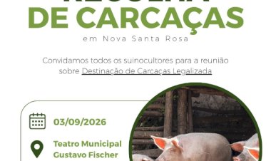 Reunião orienta destinação legal de carcaças de suínos em Nova Santa Rosa está confirmada para esta quinta-feira