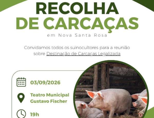 Reunião orienta destinação legal de carcaças de suínos em Nova Santa Rosa está confirmada para esta quinta-feira